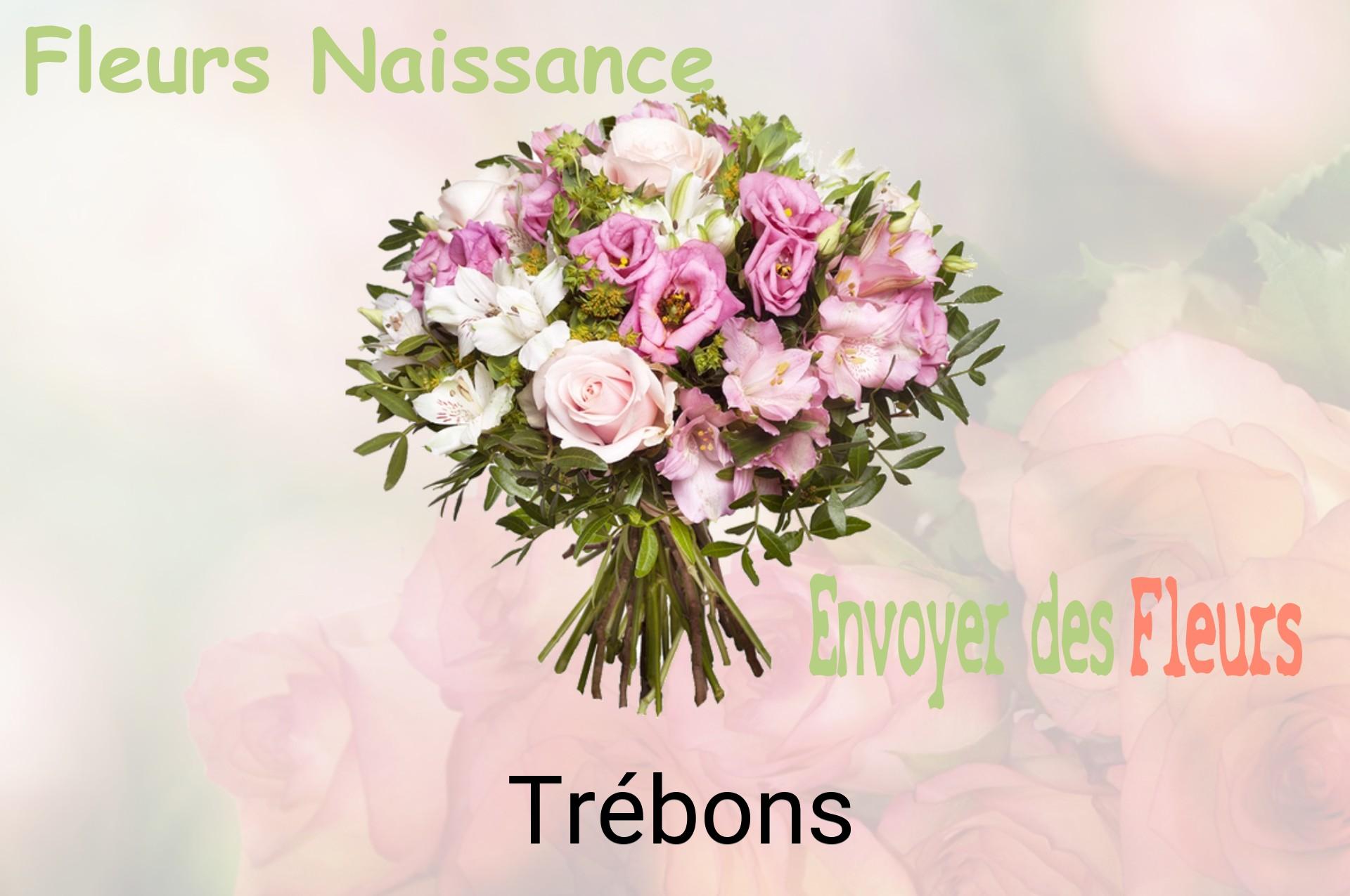 Bouquet de fleurs de naissance livré à Trébons