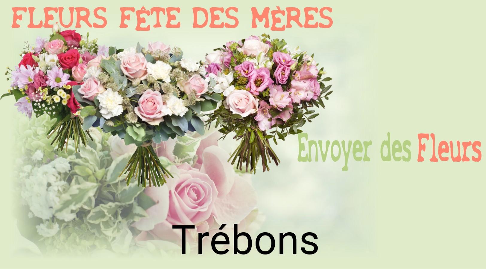 Bouquet de Fête des Mères livré à Trébons
